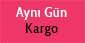 aynigunkargo.png (21 KB)