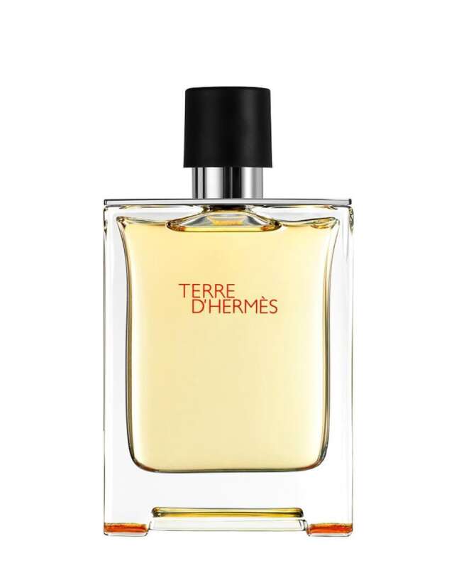 Hermes Terre D Hermes EDT 100 ml Erkek Parfüm - 1