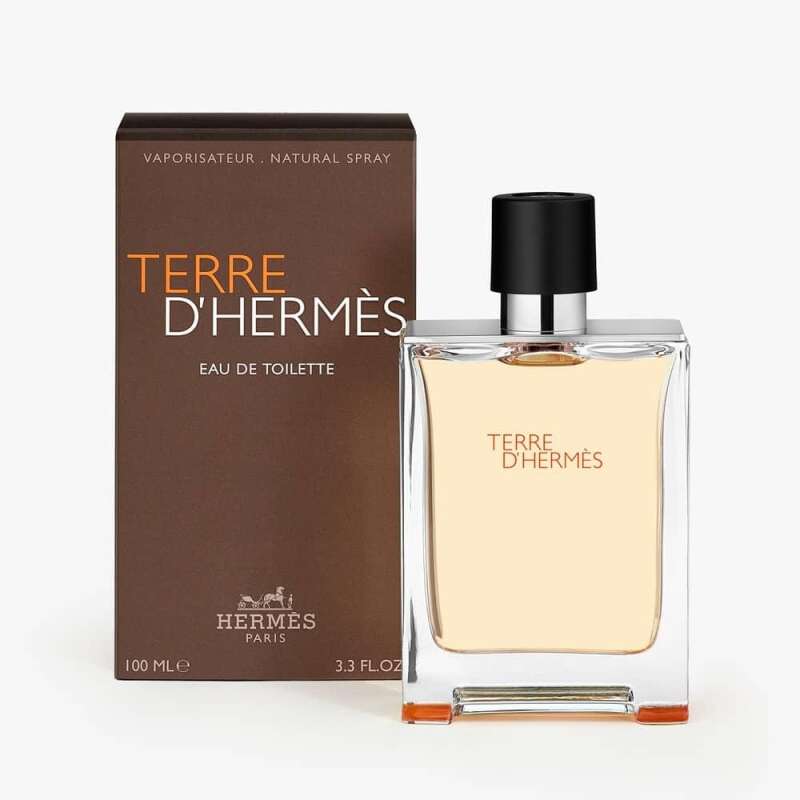 Hermes Terre D Hermes EDT 100 ml Erkek Parfüm - 2